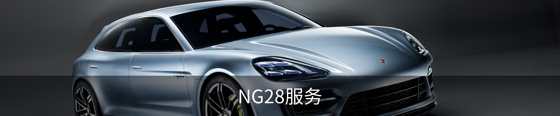 NG28服务